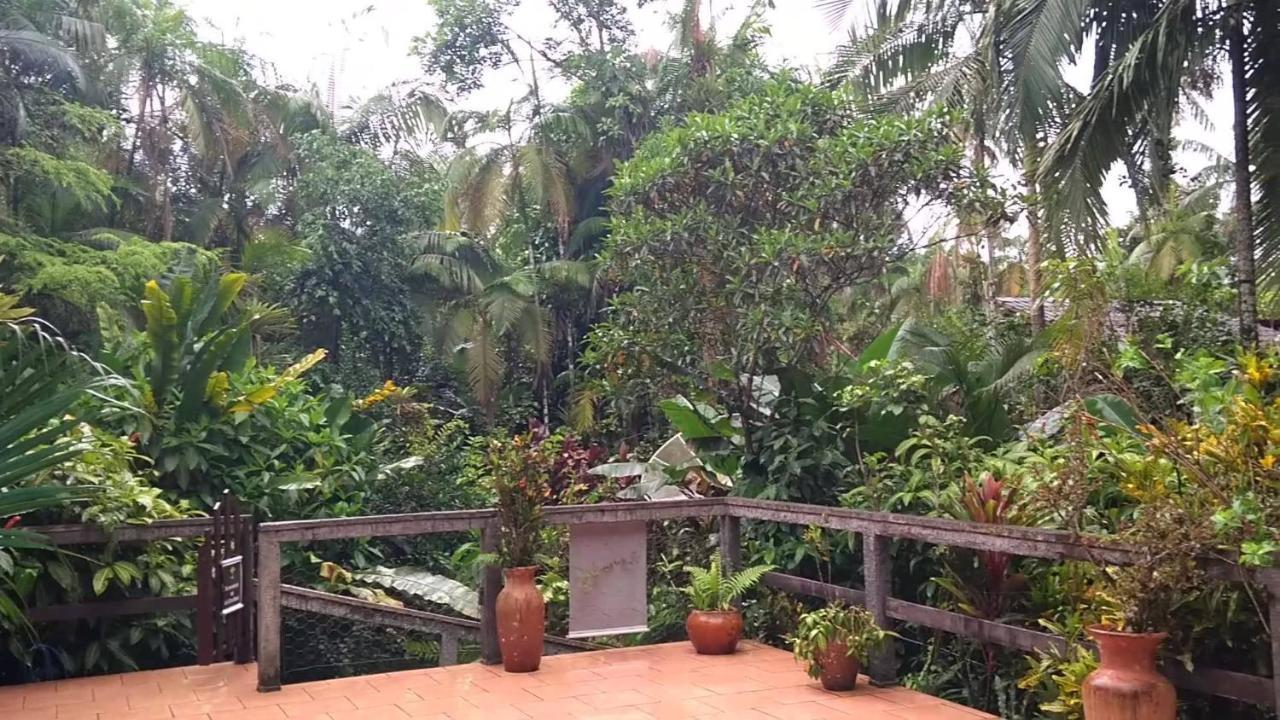 Pousada Do Oasis Морретис Экстерьер фото