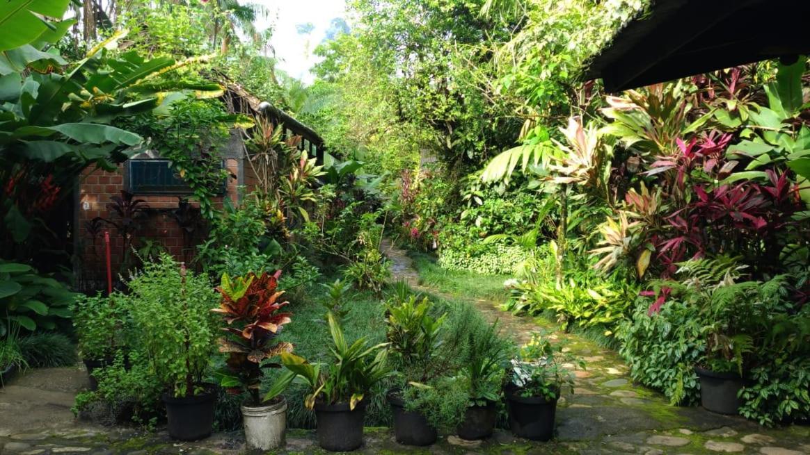 Pousada Do Oasis Морретис Экстерьер фото