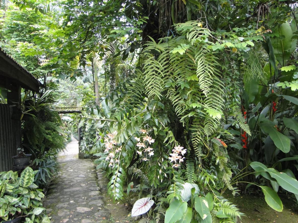 Pousada Do Oasis Морретис Экстерьер фото